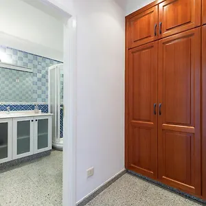 https://pier-31.in-canary-islands.com
